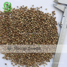 Chinese Hemp seeds High Quality Hemp seeds